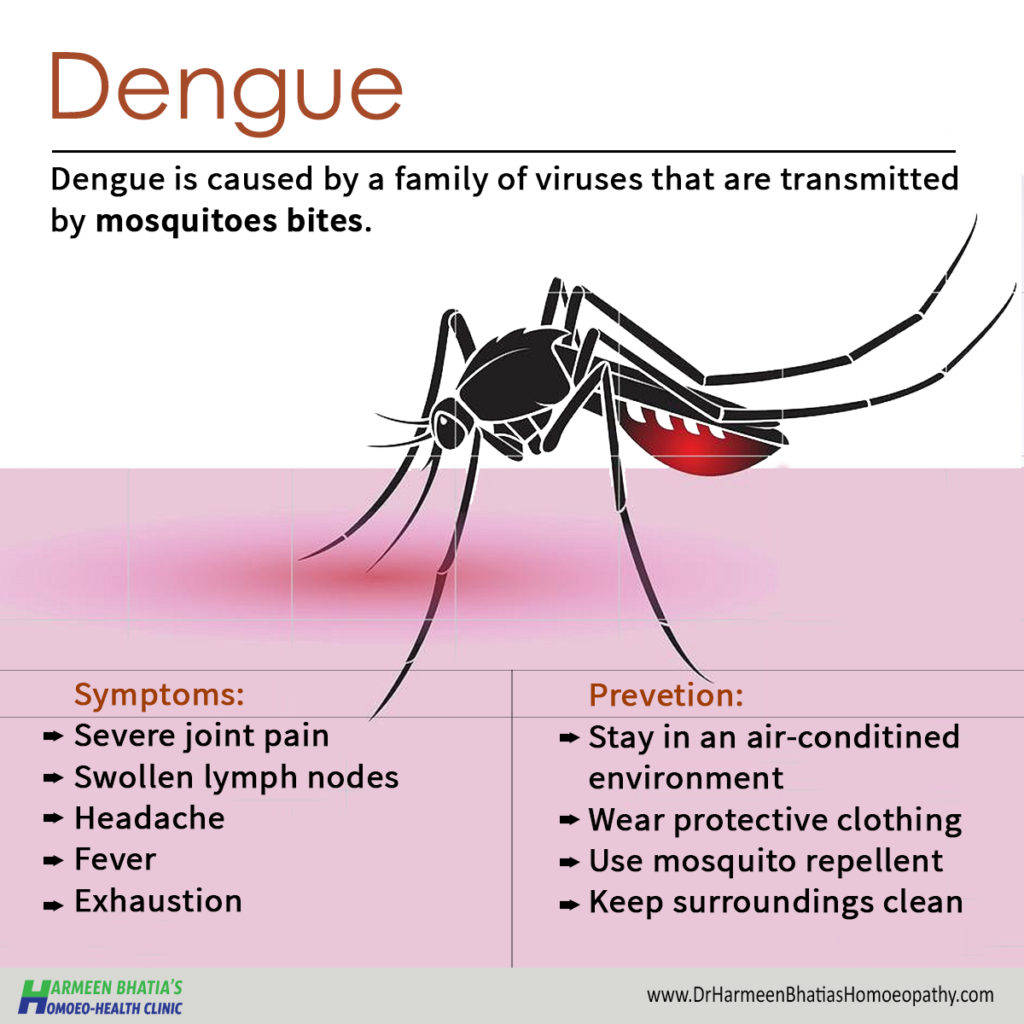 Dengue is caused by a family of viruses that are transmitted by