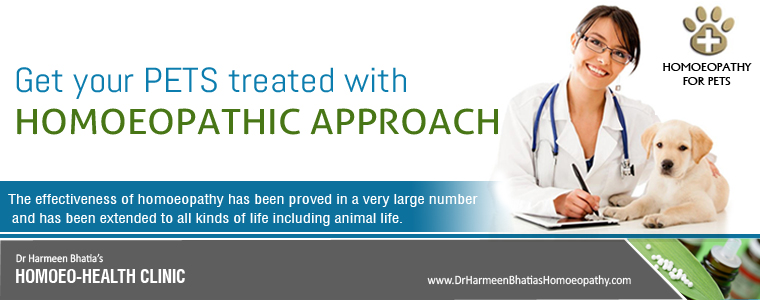 homoeopathy benefits of pets