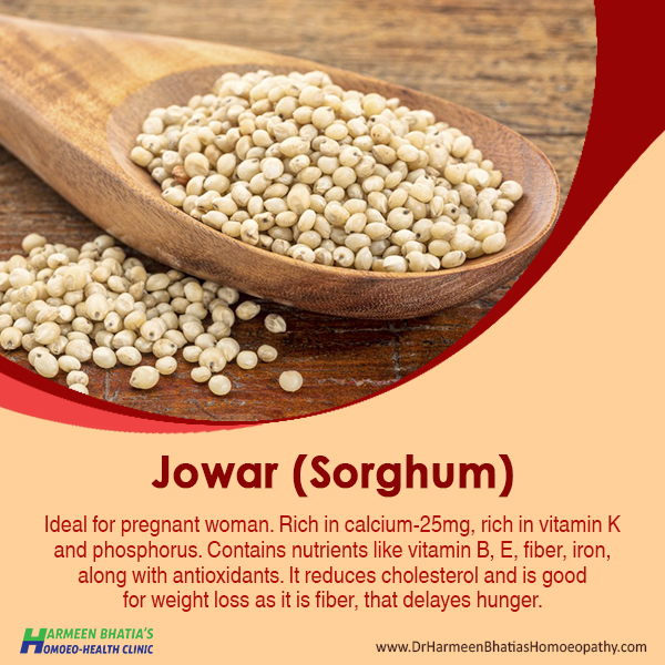 jowar-sorghum